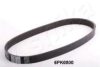 ASHIKA 112-6PK800 V-Ribbed Belts